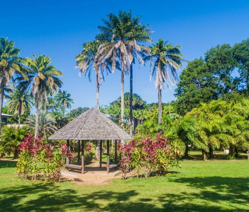 Tourisme - En images. Guyane française : la destination idéale pour les  amoureux de la nature !